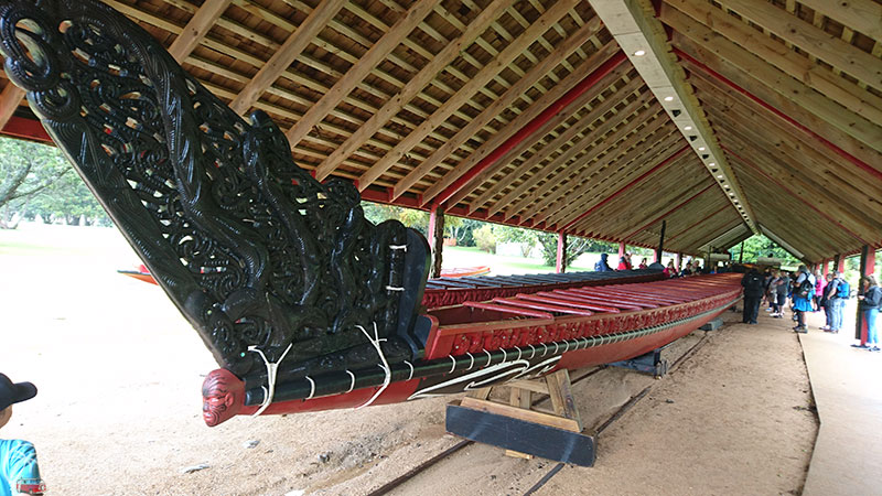 Maori Boot in Waitangi